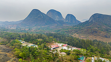 Conda, Kumbira Forest Reserve, Kwanza Sul, Angola, Africa