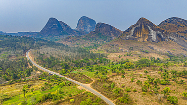 Conda, Kumbira Forest Reserve, Kwanza Sul, Angola, Africa