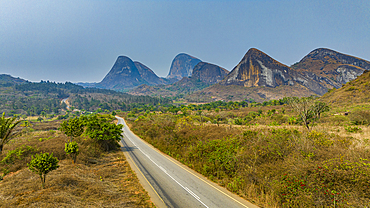 Conda, Kumbira Forest Reserve, Kwanza Sul, Angola, Africa