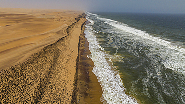 Aerial of massive numbers of Cormorants on the sand dunes along the Atlantic coast, Namibe (Namib) desert, Iona National Park, Namibe, Angola, Africa