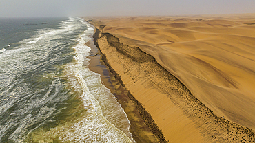 Aerial of massive numbers of Cormorants on the sand dunes along the Atlantic coast, Namibe (Namib) desert, Iona National Park, Namibe, Angola, Africa