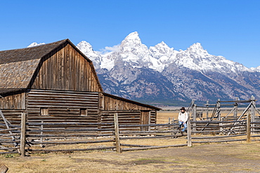 Mormon Row and Teton Range, Grand Teton National Park, Wyoming, United States of America, North America