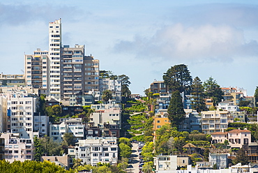 Lombard Street, San Francisco, California, United States of America, North America