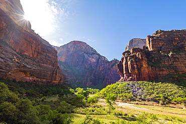 Zion Canyon, Zion National Park, Utah, United States of America, North America