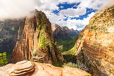 Angels Landing, Zion National Park, Utah, United States of America, North America