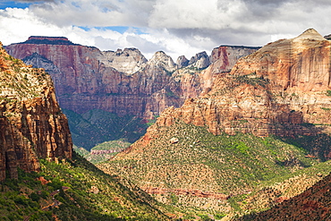 Canyon overlook, Zion National Park, Utah, United States of America, North America