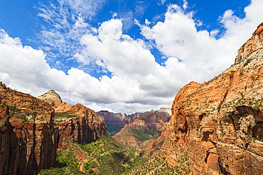 Canyon overlook, Zion National Park, Utah, United States of America, North America