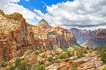 Canyon overlook, Zion National Park, Utah, United States of America, North America