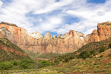 Canyon overlook in Zion National Park, Utah, United States of America, North America