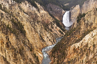 Yellowstone National Park, UNESCO World Heritage Site, Wyoming, United States of America, North America