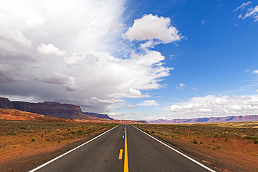 Highway on the North Rim of the Grand Canyon, Arizona, United States of America, North America