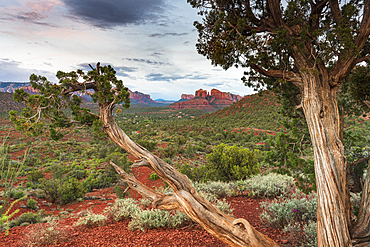 Cathedral Rock, Sedona, Arizona, United States of America, North America