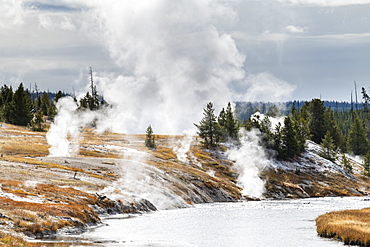 Yellowstone National Park, UNESCO World Heritage Site, Wyoming, United States of America, North America