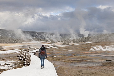 Yellowstone National Park, UNESCO World Heritage Site, Wyoming, United States of America, North America