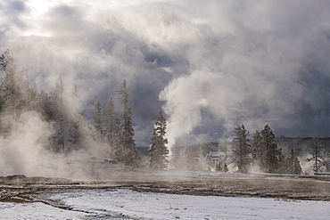 Yellowstone National Park, UNESCO World Heritage Site, Wyoming, United States of America, North America