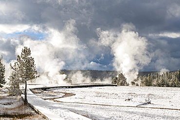 Yellowstone National Park, UNESCO World Heritage Site, Wyoming, United States of America, North America