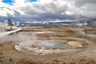 Yellowstone National Park, UNESCO World Heritage Site, Wyoming, United States of America, North America