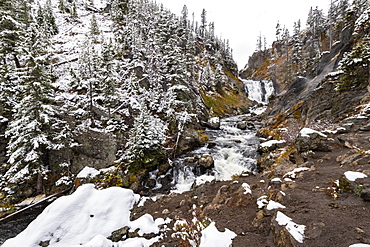 Yellowstone National Park, UNESCO World Heritage Site, Wyoming, United States of America, North America