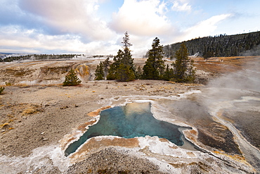 Yellowstone National Park, UNESCO World Heritage Site, Wyoming, United States of America, North America