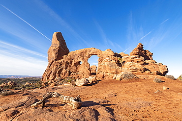 Windows Arches, Arches National Park, Moab, Utah, United States of America, North America