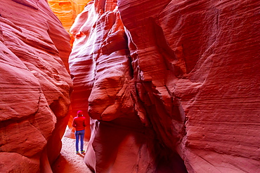 Antelope Canyon, Navajo Tribal Park, Page, Arizona, United States of America, North America