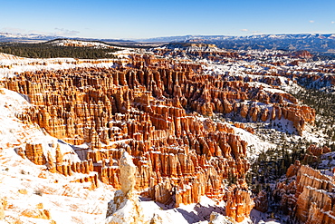 Bryce Canyon National Park, Utah, United States of America, North America