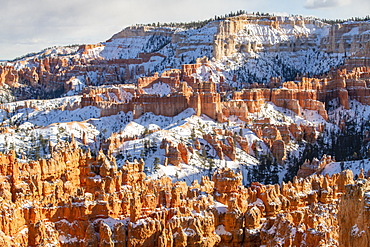 Bryce Canyon National Park, Utah, United States of America, North America