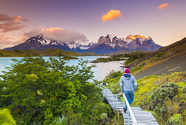 Boardwalks at Lake Pehoe, Torres Del Paine National Park, Patagonia, Chile, South America