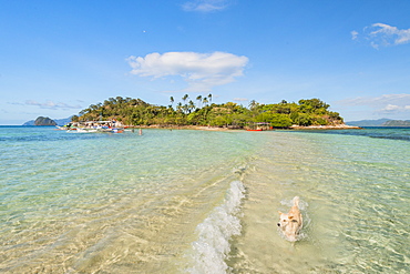 Bacuit Bay, El Nido, Palawan, Mimaropa, Philippines, Southeast Asia, Asia