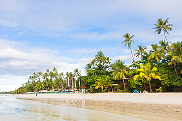 Bohol, Central Visayas, Philippines, Southeast Asia, Asia