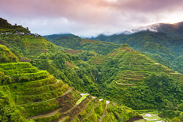 Rice Terraces, Banaue, UNESCO World Heritage Site, Luzon, Philippines, Southeast Asia, Asia