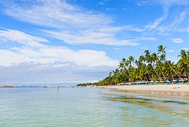 Bohol, Central Visayas, Philippines, Southeast Asia, Asia