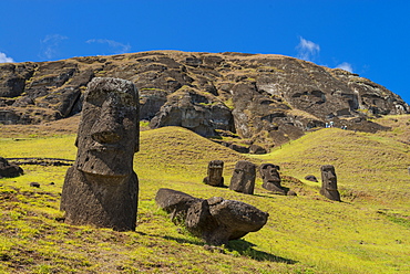 Moai heads of Easter Island, Rapa Nui National Park, UNESCO World Heritage Site, Easter Island, Chile, South America