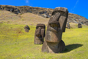 Moai heads of Easter Island, Rapa Nui National Park, UNESCO World Heritage Site, Easter Island, Chile, South America