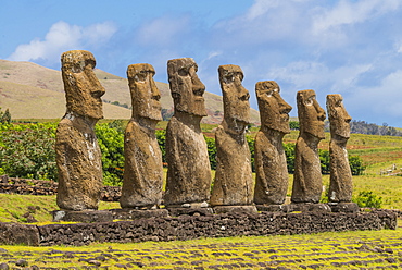 Moai heads of Easter Island, Rapa Nui National Park, UNESCO World Heritage Site, Easter Island, Chile, South America