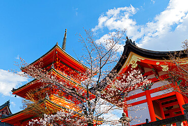 Kiyomizu-dera temple, UNESCO World Heritage Site, Kyoto, Japan, Asia