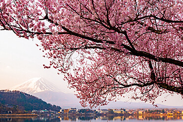 Sunrise over Mount Fuji reflecting in Lake Kawaguchi, Japan, Asia