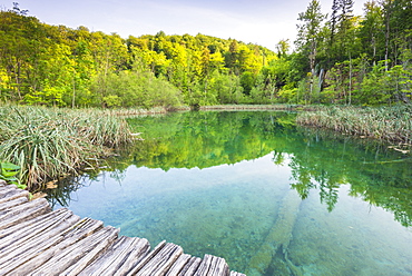 Plitvice Lakes National Park, UNESCO World Heritage Site, Croatia, Europe