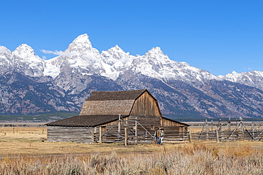 Mormon Row and Teton Range, Grand Teton National Park, Wyoming, United States of America, North America