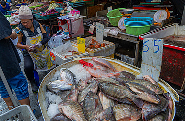 Porters,vendors and customers at Kad Luang fish and vegetable market in Chiang Mai, Thailand