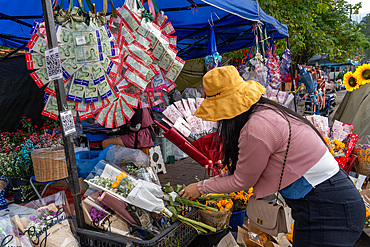 Flower bouquets, soft toys and money souvenirs for sale for graduation ceremony at Chiang Mai University, Chiang Mai, Thailand