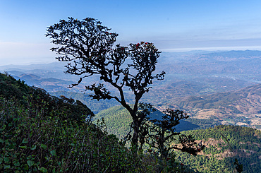 Views of Doi Inthanon National Park in Chiang Mai province,Thailand