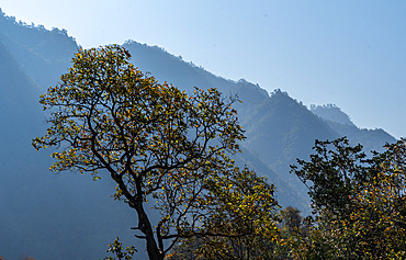 Mountain scenery in Mae Hong Son province, Thailand, Southeast Asia, Asia