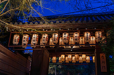 Night time illumination at temples during the cherry blossom (sakura) season and festivals in Kyoto, Honshu, Japan, Asia