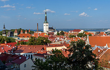 Views of old historical and traditional buildings, Old Town, UNESCO World Heritage Site, in central Tallinn, Estonia, Europe