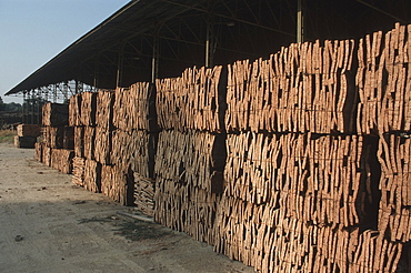 Portugal cork drying in the sun in the alentejo region