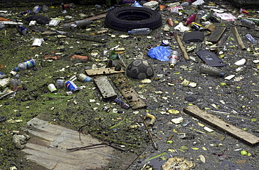 Water pollution, uk. London. Rubbish in the lea canal