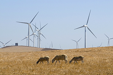 Spain. Wind turbines in rural areas in andalucia