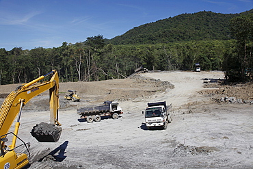 Road construction and deforestation in borneo, malaysia