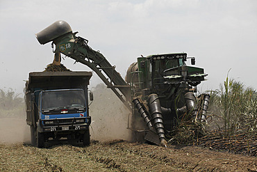 Sugar harvesting and production in the lowlands of Ecuador, South America